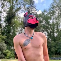 Ooska 🐶 (@ooskooska) 's Twitter Profile