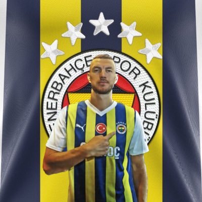 Parody account|Fenerbahçe