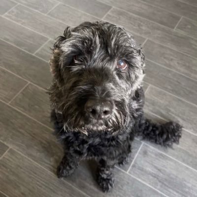 nickevs27's profile picture. Life's not a dress rehearsal