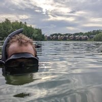 Davide Bottacini (@bottacinid) 's Twitter Profile