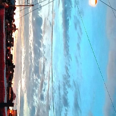 josuearrec7939's profile picture. 