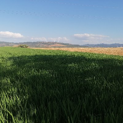 What the soil gives us/ Toprak danışmanı/ Piyasa avcısı/Yatırım Bölgeleri Kaşifi / Herkese Uygun Vizyon / gayrimenkul hukuku