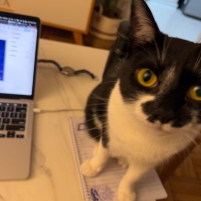 anonjz's profile picture. 