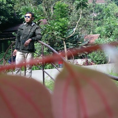 IWANROHMAN446's profile picture. 