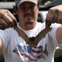 Chad Haught (@chad_haught) 's Twitter Profile