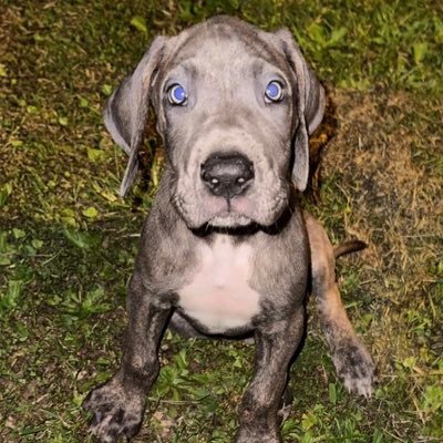 Price9Marcus's profile picture. email: pricemarcus022@gmail.com