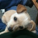 Kent cottrell - @KentCottrell - Twitter