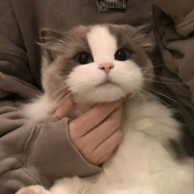 liziさんのプロフィール画像