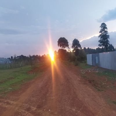 titombugua Profile Picture