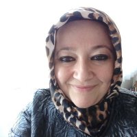 Sergül Çibik (@cibiksergul) 's Twitter Profile
