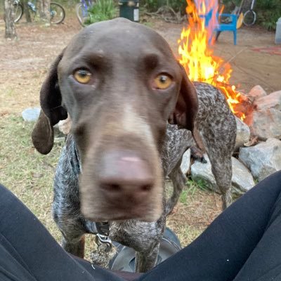 BGypsy66's profile picture. 