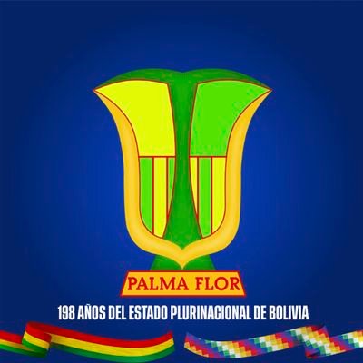 Club Deportivo Palmaflor del Trópico| Equipo Profesional de la 1era división| Villa Tunari 🇧🇴