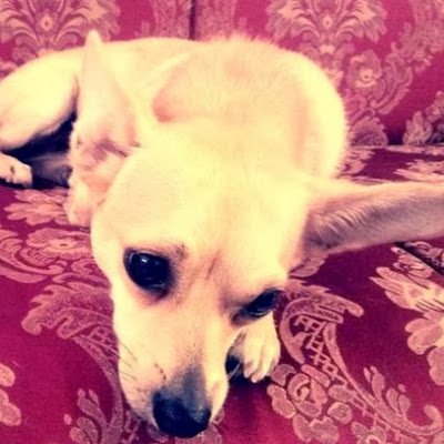 JAevans777's profile picture. 