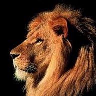 The Truth is like a lion. You don’t have to defend it. Let it loose , it will defend itself. - Saint Augustine. 🇺🇸         Trump Tsunami 2024