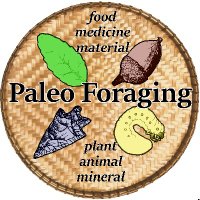 Paleo Foraging(@PaleoForaging) 's Twitter Profile Photo