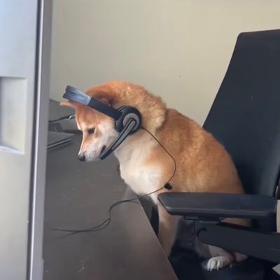 stray dog telemarketer from the future