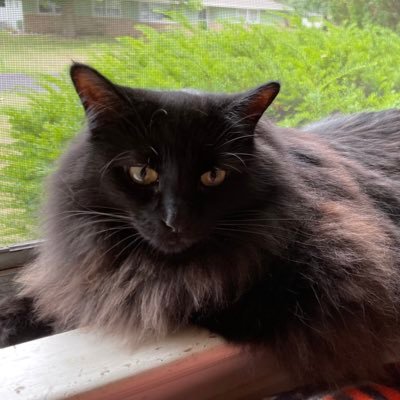 MKWeb42's profile picture. 