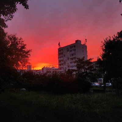 Dex1169176's profile picture. 