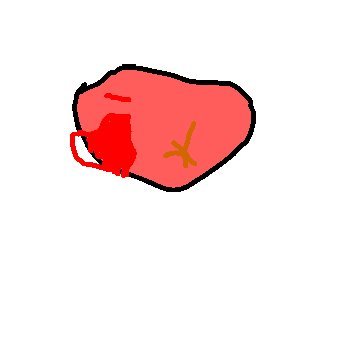 r3ds90's profile picture. pokemon liker, democrat hater,https://t.co/huzTqIjEmr player
#2028 #hattiesburg