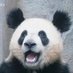 hpyhyacinth (@hupeiyao) Twitter profile photo hpyhyacinth (@hupeiyao) Twitter profile photo