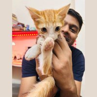 Piyush (@piyushmohite_) 's Twitter Profile