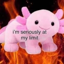 assfart24's profile picture. just an account to keep NSFW out of my main feed

I'm 20