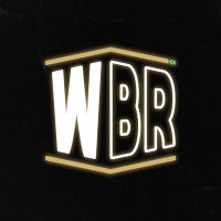 WrestleBR(@wrestlebr) 's Twitter Profile Photo