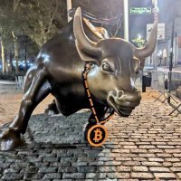 KryptoBull (@tothekryptonaut) 's Twitter Profile