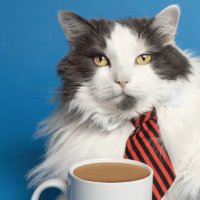 CartoonistWithCaffeine (@caffeinewith) 's Twitter Profile