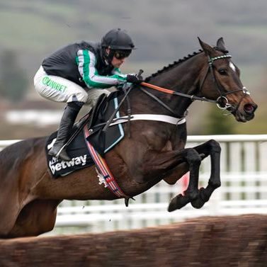 All things racing 🐎 telegram link - https://t.co/Ss3Sr2ve4C