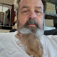 Fred Kops (@kopsfred) 's Twitter Profile