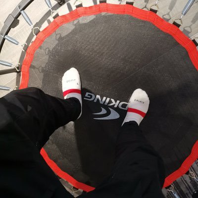 y15598's profile picture. 斯里兰卡🇱🇰科伦坡绿主