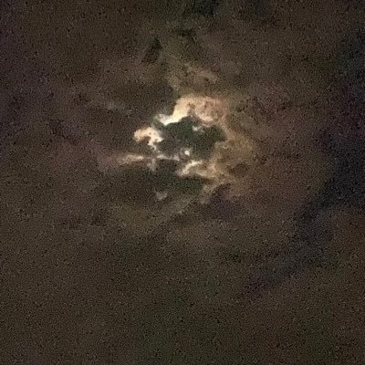 Dani_thatguy's profile picture. Maryland | HMU for links | 18 verse