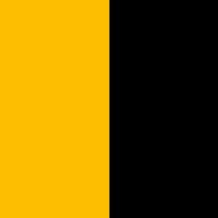 Yellow & Black Music (@ybmusical) 's Twitter Profile Photo