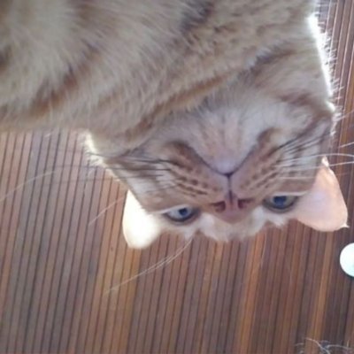 Clarerodev's profile picture. 🦄 Dev frontend 
💛 Javascript 
♥️ Angular