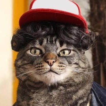 caioさんのプロフィール画像