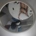Casal Pam e Du (@dinizp01) Twitter profile photo Casal Pam e Du (@dinizp01) Twitter profile photo