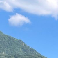 とり (@mtkjs1) 's Twitter Profile