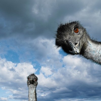 geo608928324704's profile picture. 