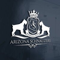 AZ Schnauzers(@AzSchnauzers) 's Twitter Profile Photo