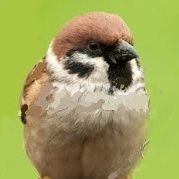 ちかちゅん🌿🐦反戦平和🐦🌿(@0B71VetFBtY7H02) 's Twitter Profile Photo