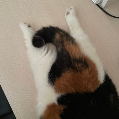 Momay_jew's profile picture. #TleFirstone 🐶🐰 เห็นเขายิ้มแล้วทำให้เรายิ้มตาม โลกสดใสขึ้นมาเลย @TLE_mtm @firstone_wnk 💚🩷 #เติ้ลเฟิร์สวัน