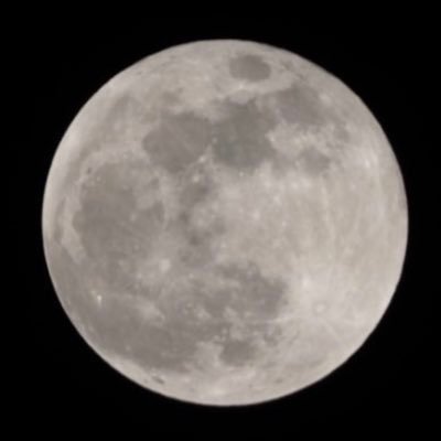 AHRtoTheMoon's profile picture. 