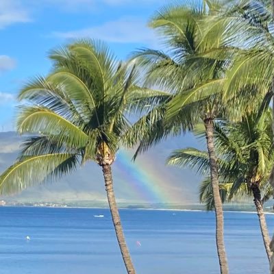 CatCollyer's profile picture. 