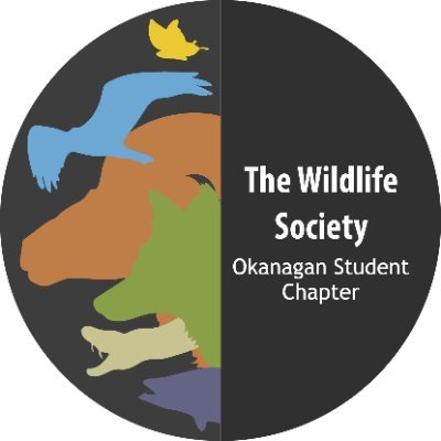 The Wildlife Society Okanagan Student Chapterさんのプロフィール画像