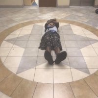 Checaugo X (@kingchecaugo) 's Twitter Profile