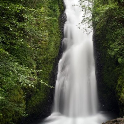 apopis77's profile picture. 