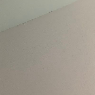 molyfe97's profile picture. never serious