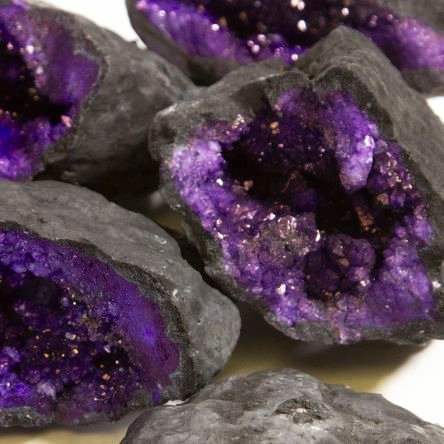 KyleeKillsIt's profile picture. Level 19, I make spicy chat bots lol