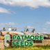 Patmore Feeds (@patmorefeeds) Twitter profile photo Patmore Feeds (@patmorefeeds) Twitter profile photo